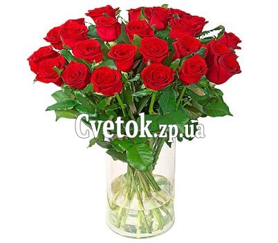 23 красные розы