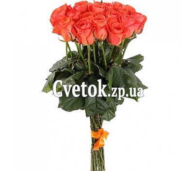 19 оранжевых роз