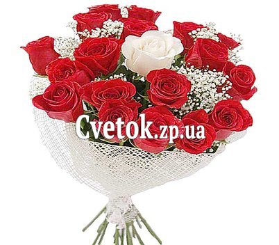 19 красных и белых роз