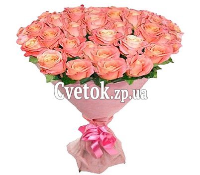 23 розы мисс пигги