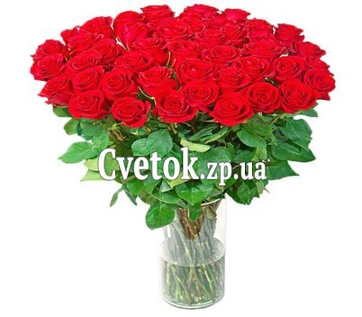 49 красных роз