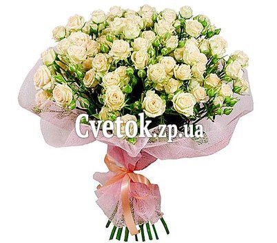 Цветы роза кустовая