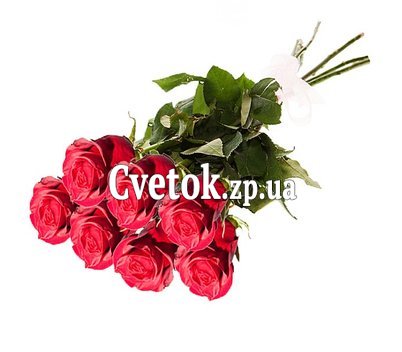Длинные розы импортные