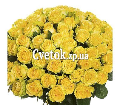 Длинные желтые розы