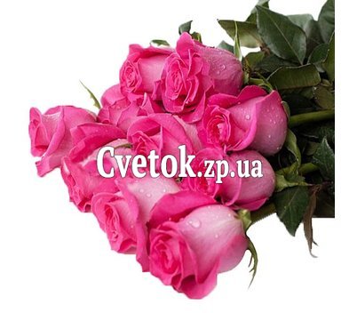 Эквадорские розовые розы