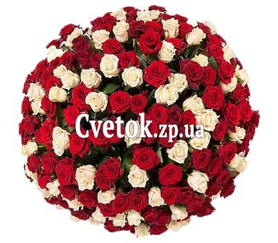 Гигантский букет роз 251 роза