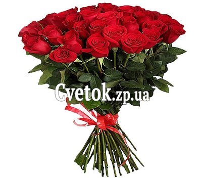 Голландские красные розы