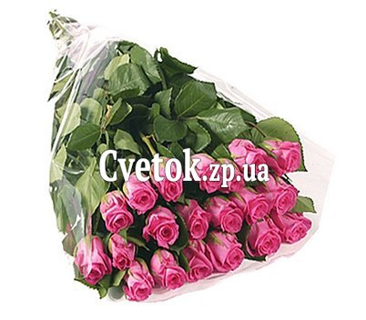 Голландские розовые розы