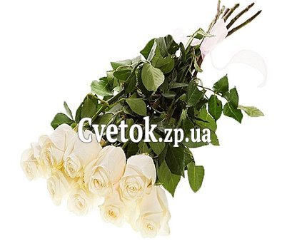 Импортные белые розы