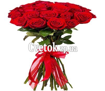 Импортные розы