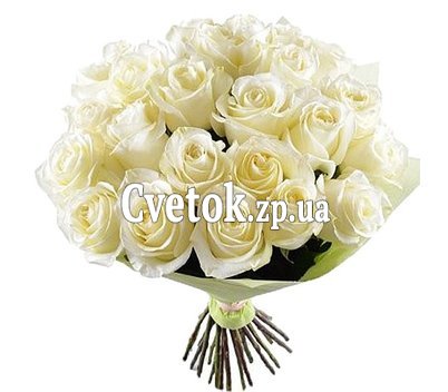25 белых роз