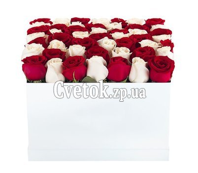 Красно белые розы в коробке