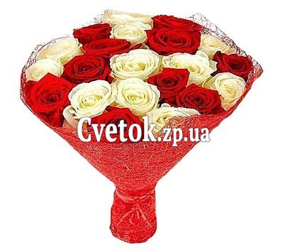 23 красные и белые розы