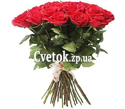 Красные голландские розы