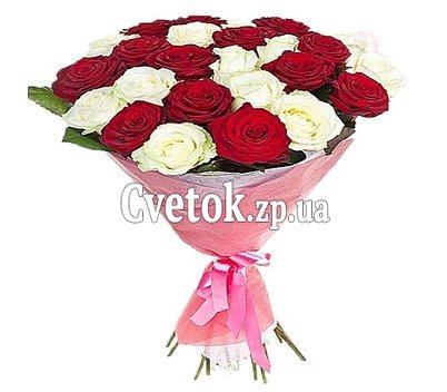 25 красных и белых роз