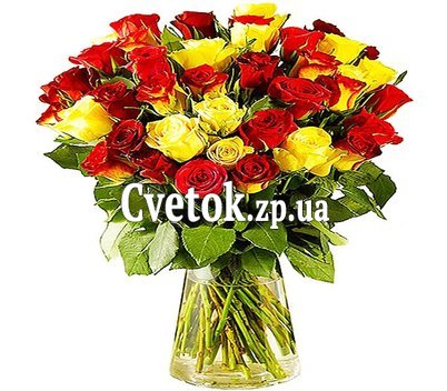 Red and yellow Dutch roses
