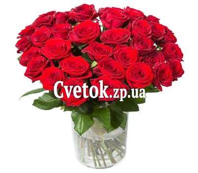 Красные розы букет