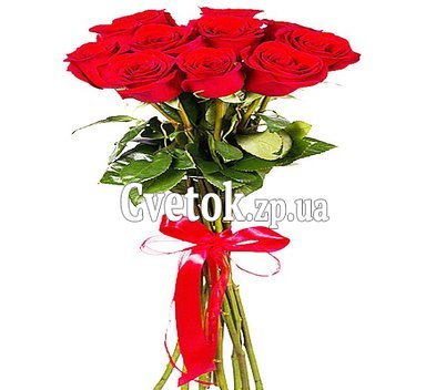 Красные розы на длинной ножке