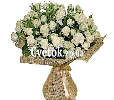 Кремовые кустовые розы