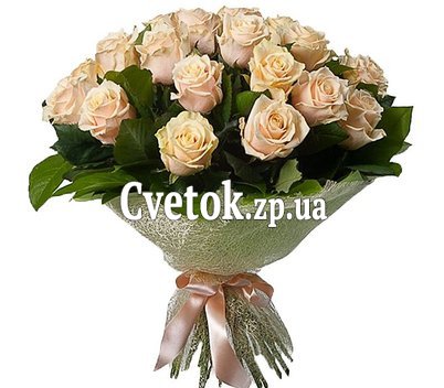 27 кремовых роз