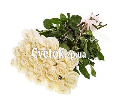 Крупные белые розы