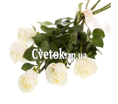 5 белых роз