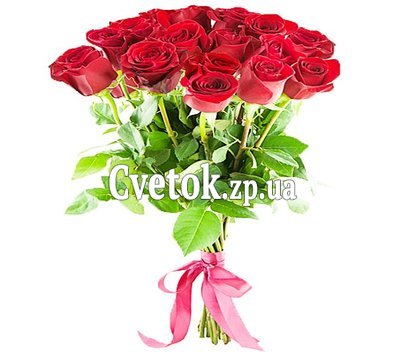 Метровые розы красные