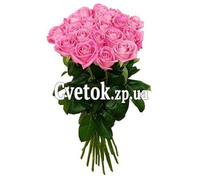 Bouquet of 19 roses