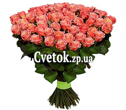 101 персикова троянда
