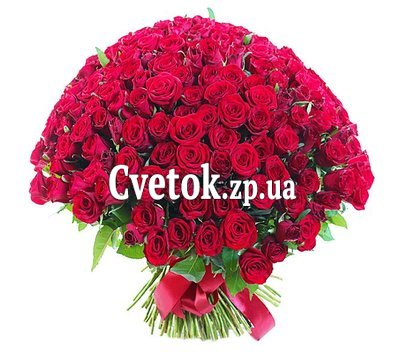 Очень большой букет роз
