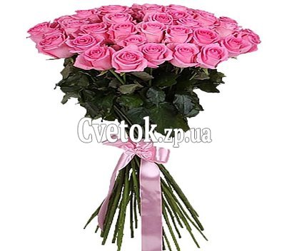 37 розовых роз