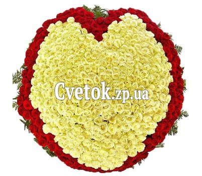 Огромный букет 501 роза