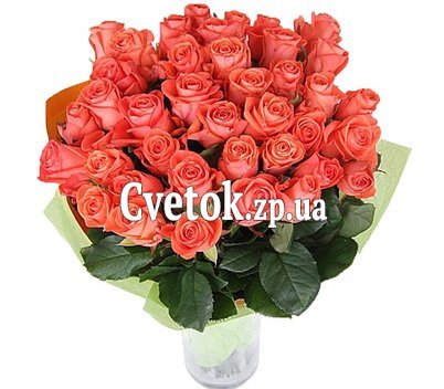 33 orange roses