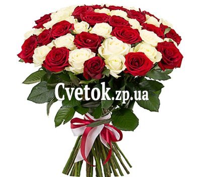 51 красная и белая роза