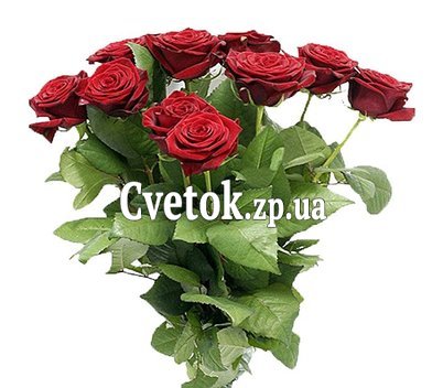 15 красных роз