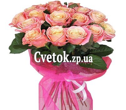 19 роз мисс пигги