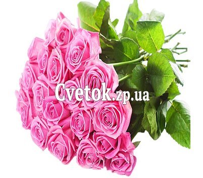 23 розовые розы