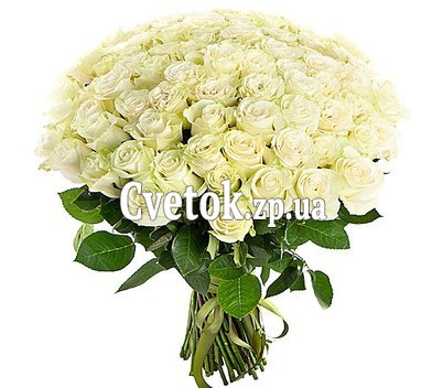 55 белых роз