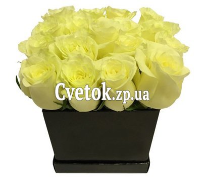 Розы белые в квадратной коробке
