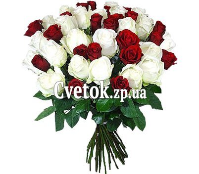 Розы большой букет