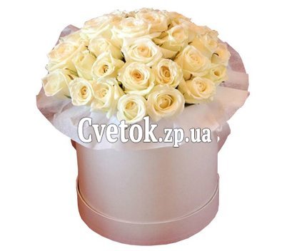Розы кремовые в круглой коробке