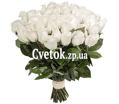 Розы на День Рождение девушке