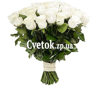Roses sort Anastasia