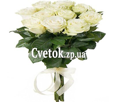 Розы сорт Мондиаль