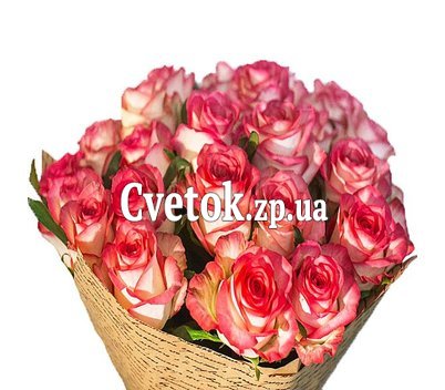 Розы сорта Блаш