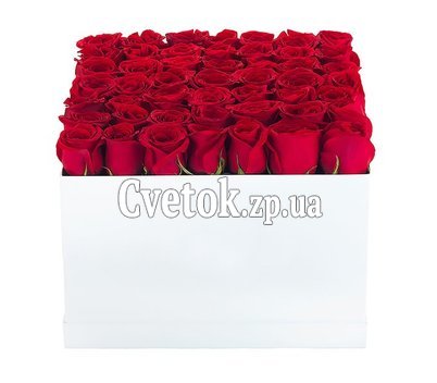 Розы в коробке купить