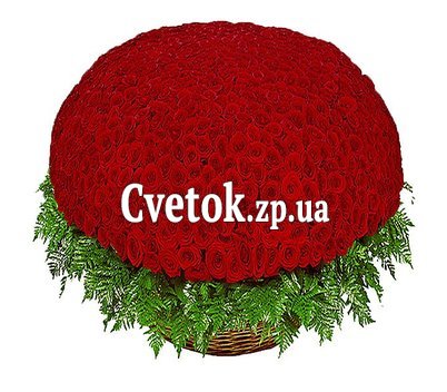 Самый большой букет красных роз - 1001 роза