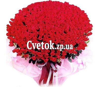 Самый большой букет розы