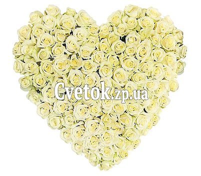 Сердце 101 белая роза
