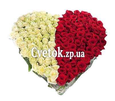 Сердце из 101 розы белой и красной